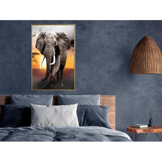 Plakat w ramie - Majestatyczny słoń - Zdjęcie 2
