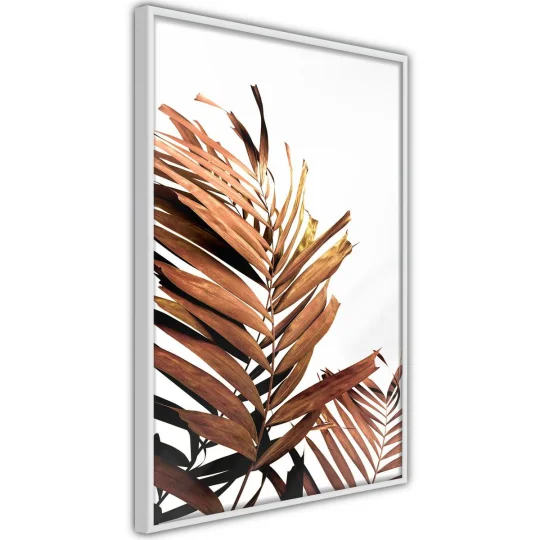 Plakat w ramie - Miedziana palma