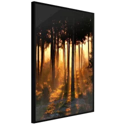 Plakat w ramie - Ciemne korony drzew