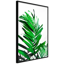 Plakat w ramie - Szmaragdowa palma