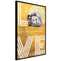 Plakat w ramie - Kocia miłość