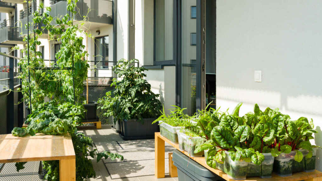 Jak urządzić ogród na balkonie w nowoczesnym stylu?
