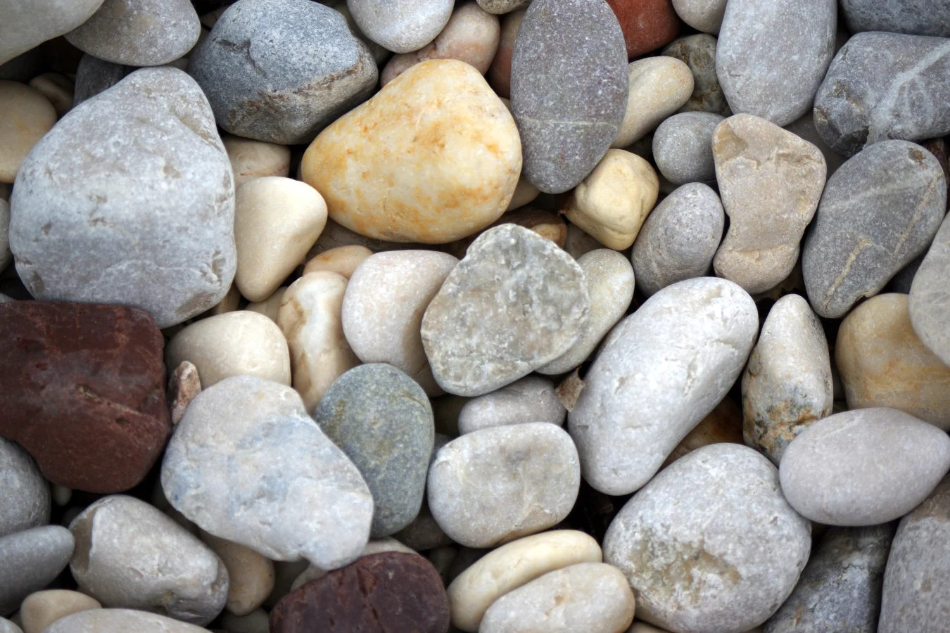 Drobne kamienie o łagodnych krawędziach mogą być wysypane na ścieżce sensorycznej.